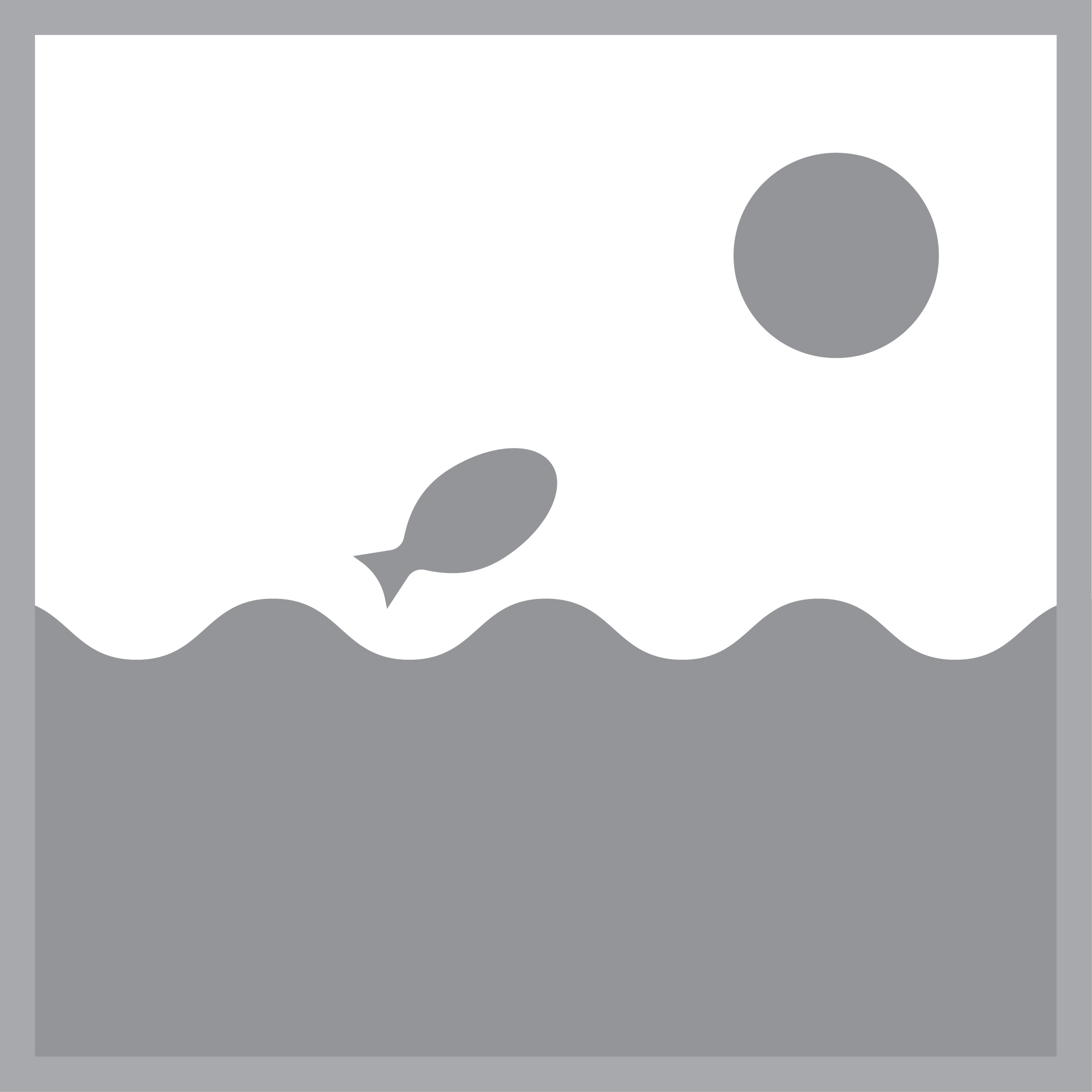 Filter brush Black Knight Koi Brush 50 x 15 cm Aircraft, Transportation, Vehicle