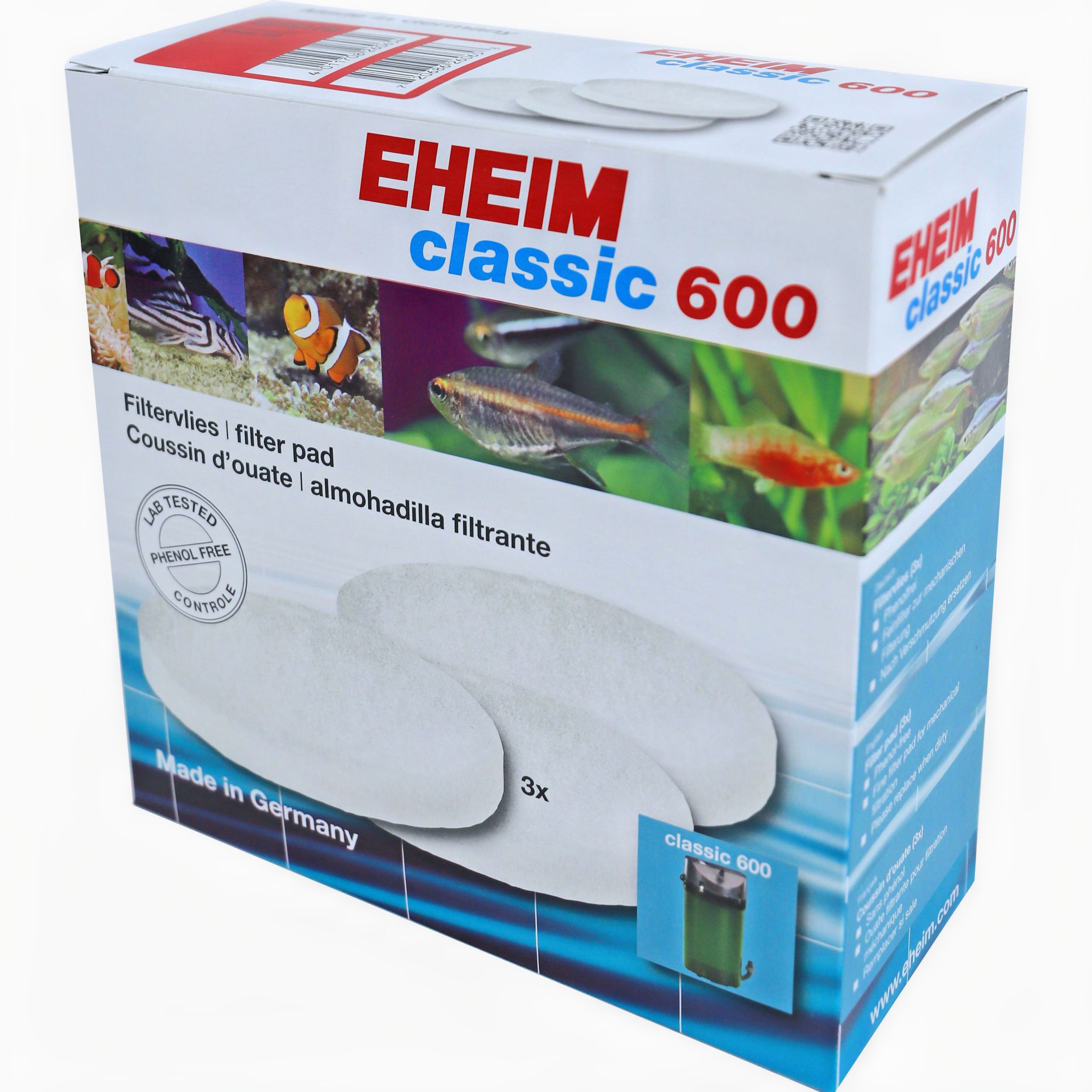 Animal, Fish, Sea Life