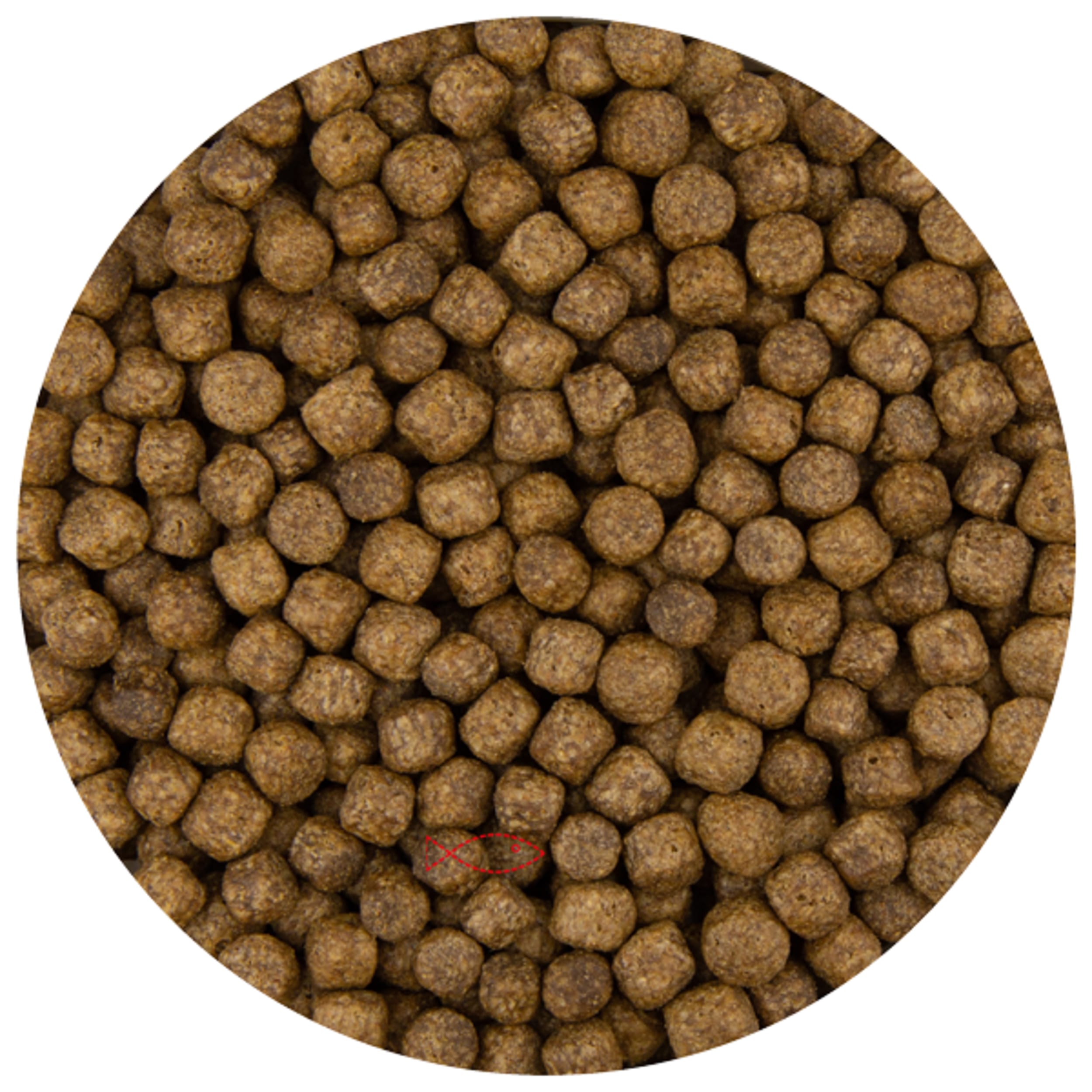 Pound pellet 6mm - 10 kilos Food