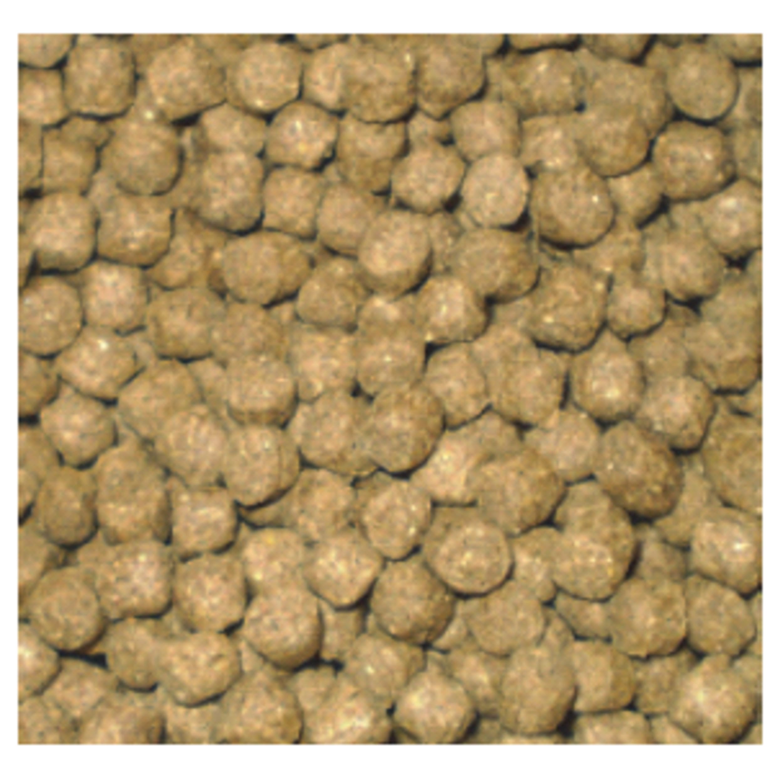WheatGerm 15 kilos (6 mm) Food