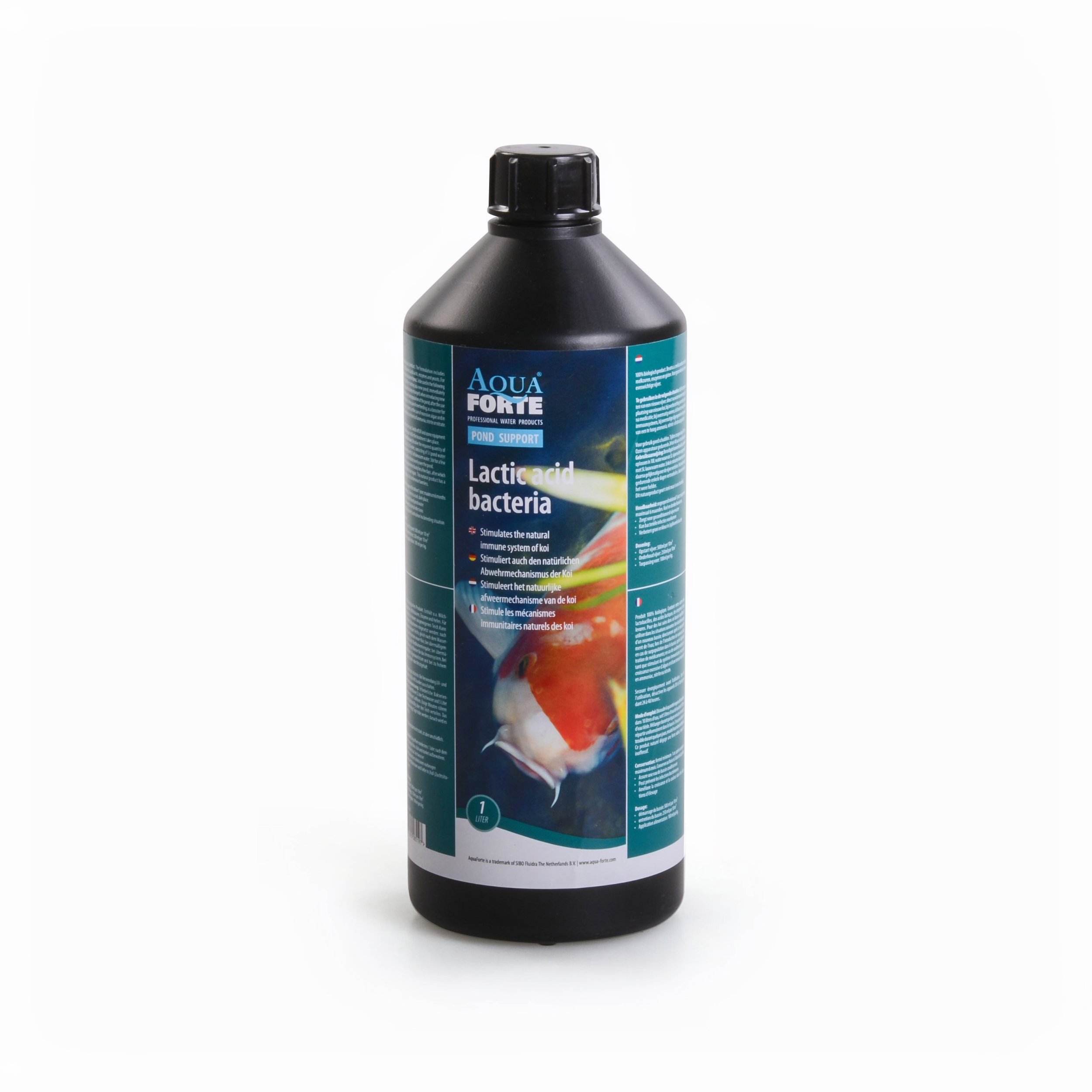 Lactic acid bacteria 1L Bottle, Food, Seasoning, Syrup