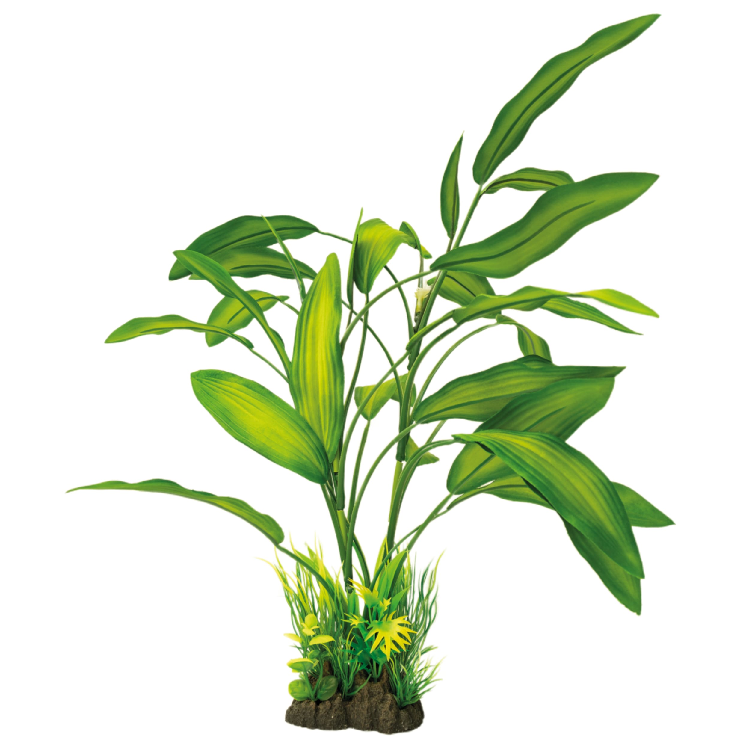 Art Plant 40cm Cryptocoryne Leaf, Plant, Green, Flower, Flower Arrangement