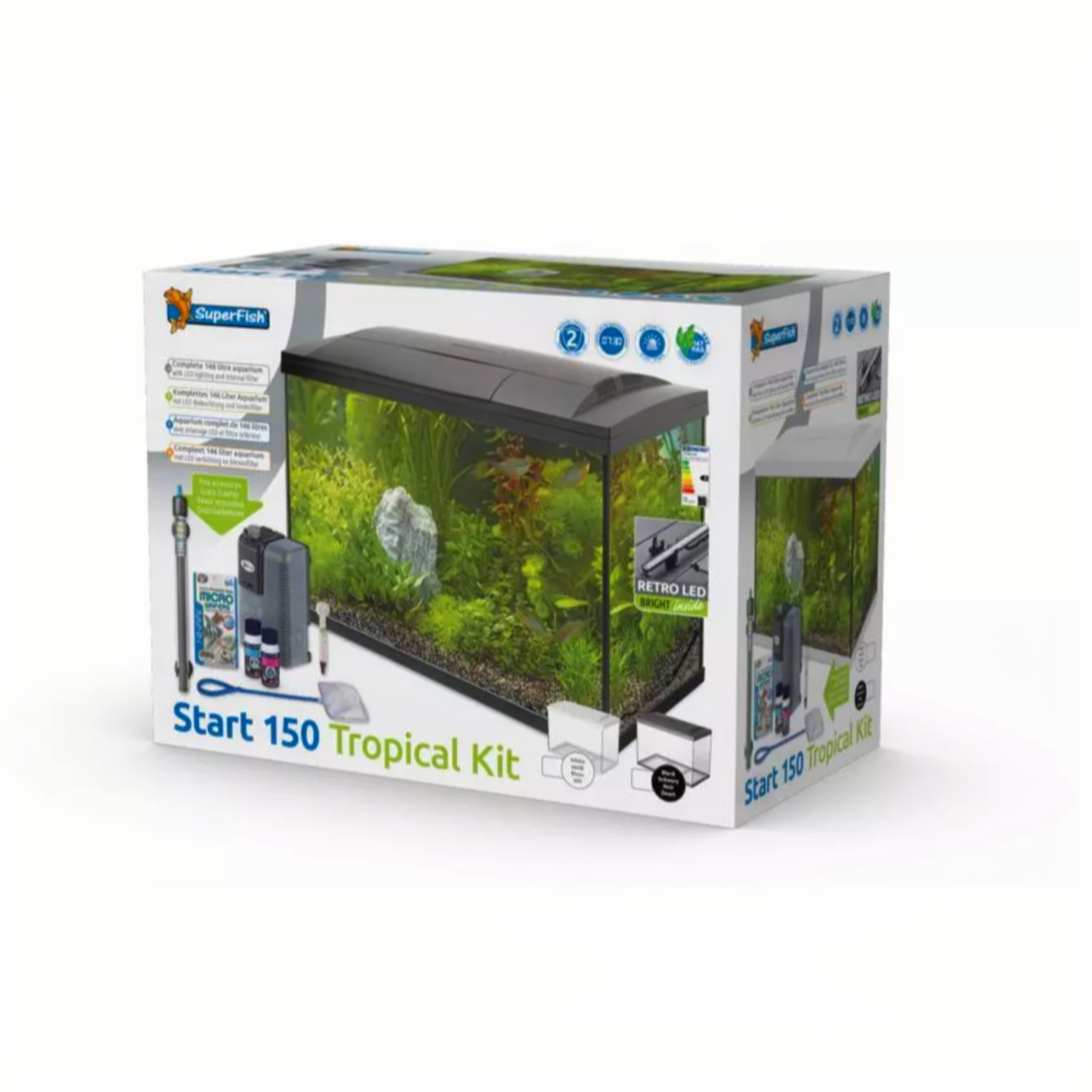 Animal, Aquarium, Fish, Sea Life, Water