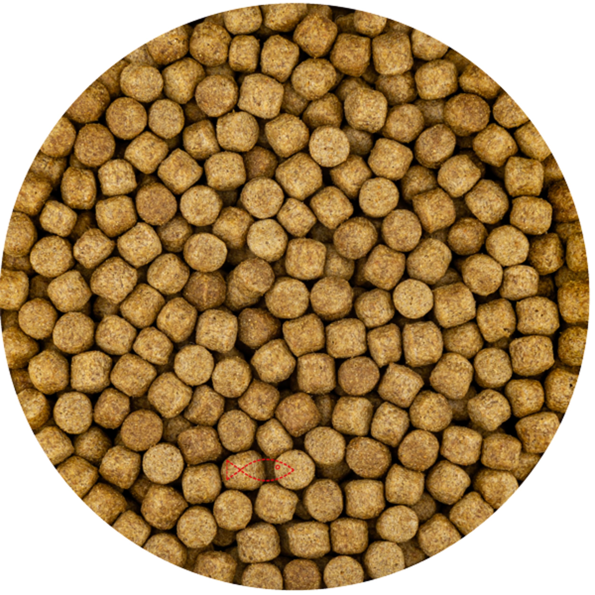 Wheat Germ 6mm (15 kilos of bag)