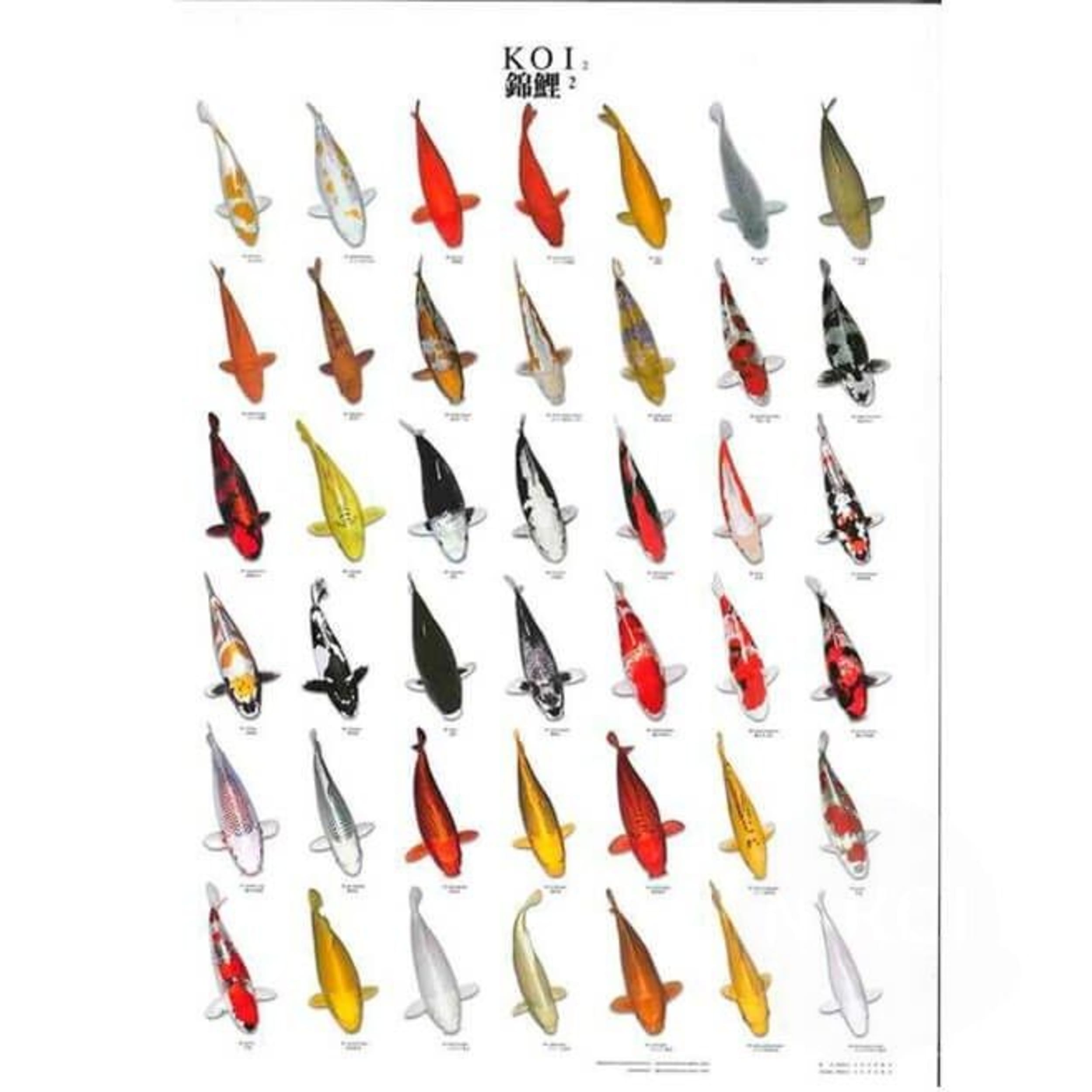 Mortar Shell, Weapon