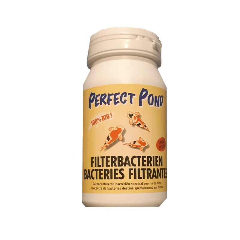 Filter bacteria 500 gr