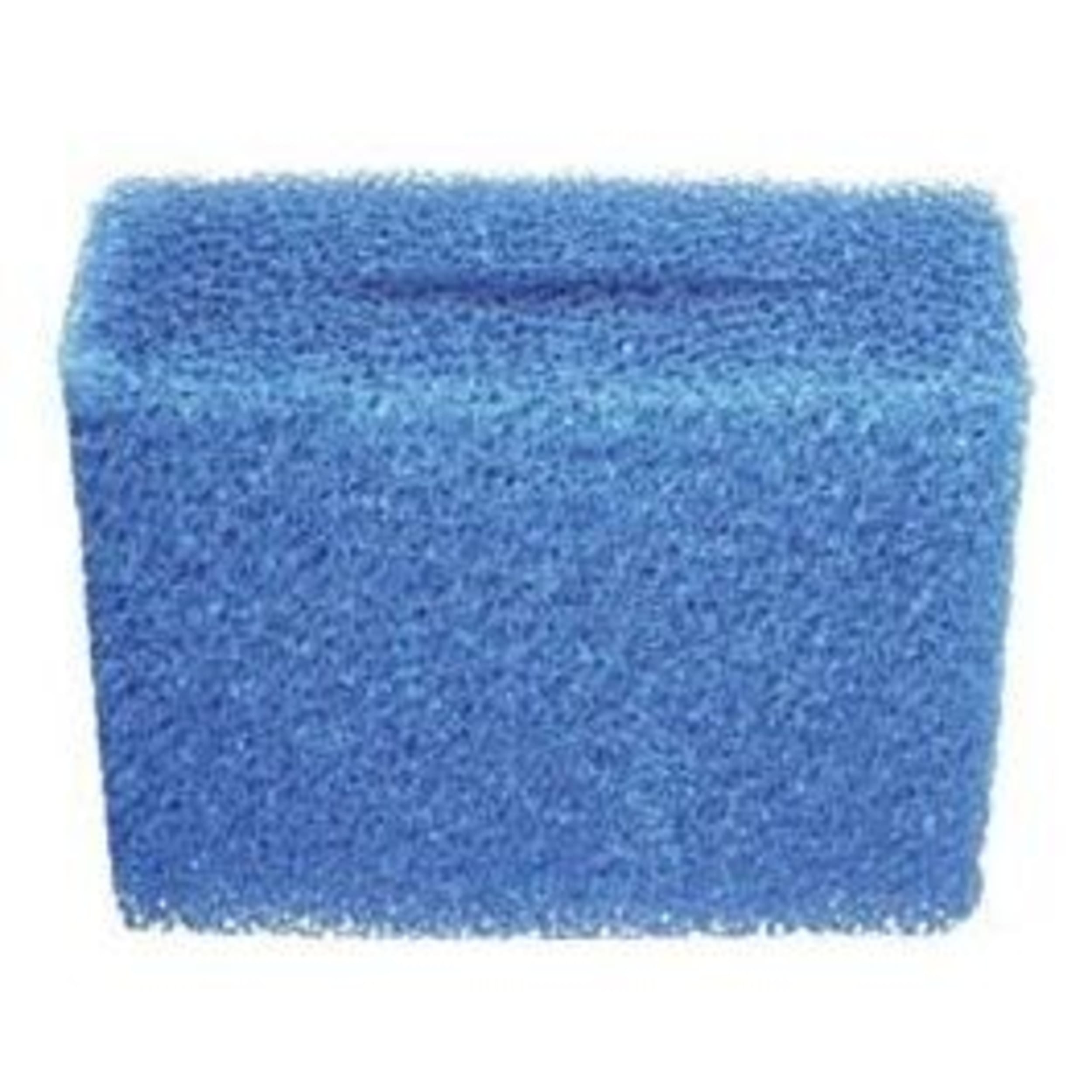 Filter pattern biotec 12 coarse blue Sponge