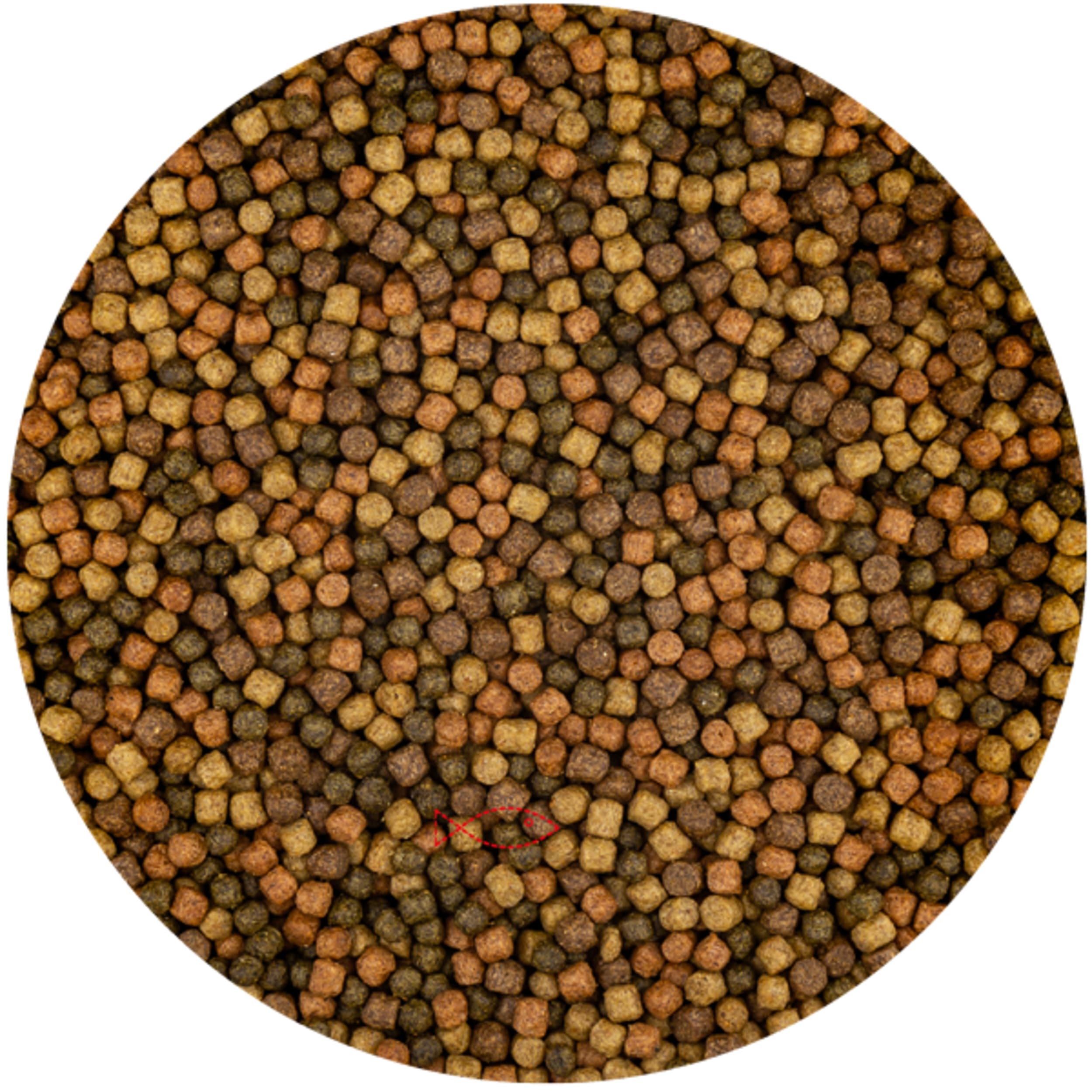 Top mix 3mm (6 kilos bag) Food, Mustard