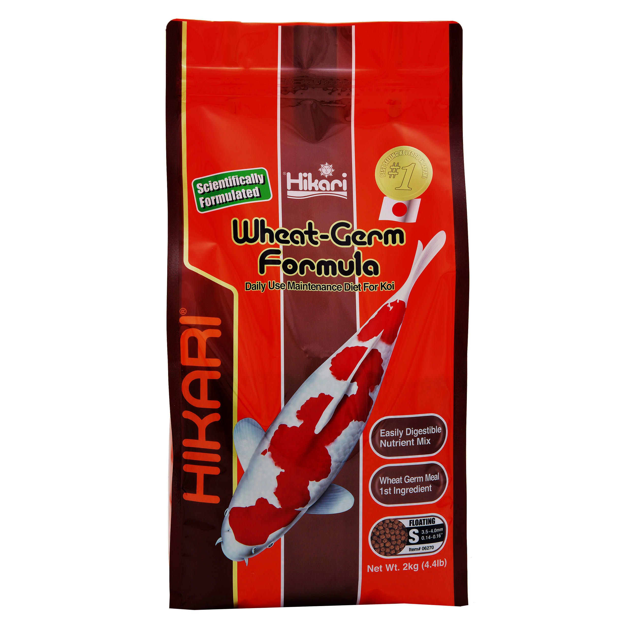 Animal, Carp, Fish, Sea Life, Koi