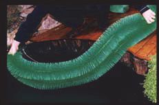 Egg sales brush - 130x14 cm - spawning brush